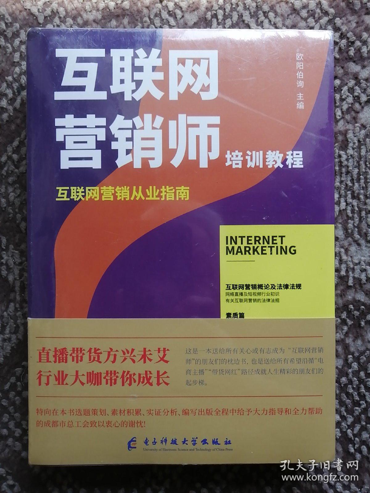 互聯(lián)網(wǎng)營(yíng)銷(xiāo)師培訓(xùn)教程 互聯(lián)網(wǎng)銷(xiāo)售從業(yè)指南